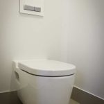 A photo of a toilet.