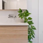 A photo of a sink with a plant on it.